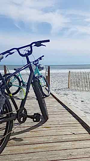 Beach Bike Shop Services